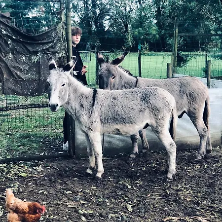 منزل للإقامة Logis De Bois بريزير